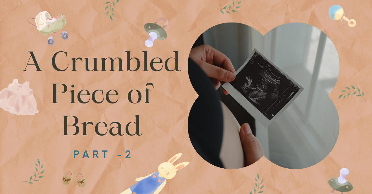 A Crumbled Piece of Bread – Part 2